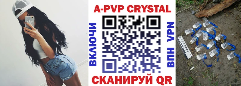 Альфа ПВП СК КРИС  Кондопога 