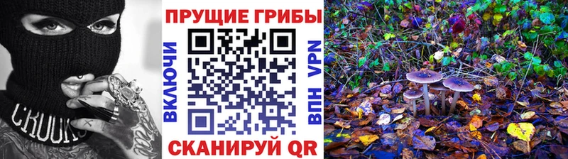 купить наркоту Кондопога Псилоцибиновые грибы GOLDEN TEACHER